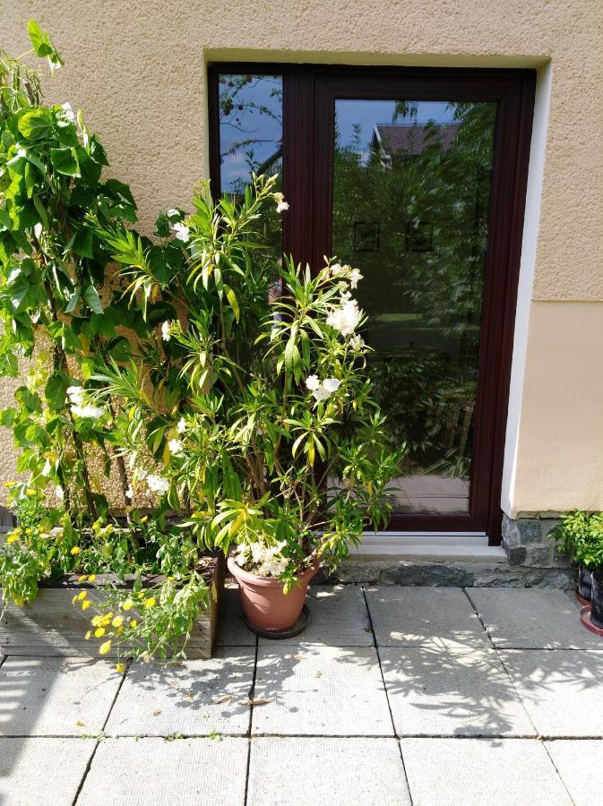 Ubytovani Bludov U Lazni المظهر الخارجي الصورة